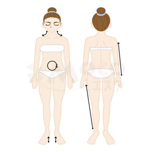 マッシュルームストーン 1個 |  | 03