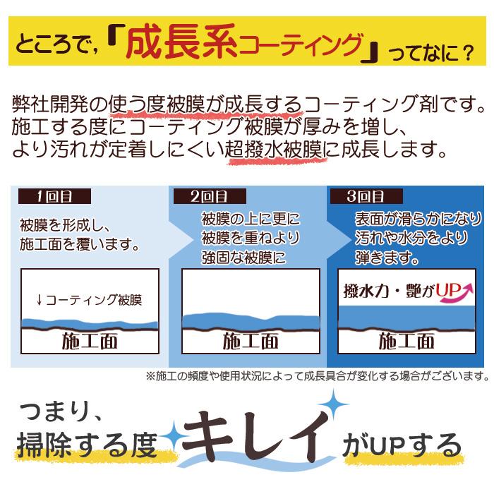 洗車 イオン コーティング剤 PANDORA 詰め替え 1000ml 車 ガラスコーティング 撥水コート 超撥水 洗車用品 撥水剤 洗浄剤 メンテナンス 日本製 ガラス｜mocola｜09