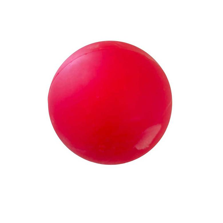 ミニラクロスラケット Mini Lacrosse Racket : mocomoco town(モコモコ