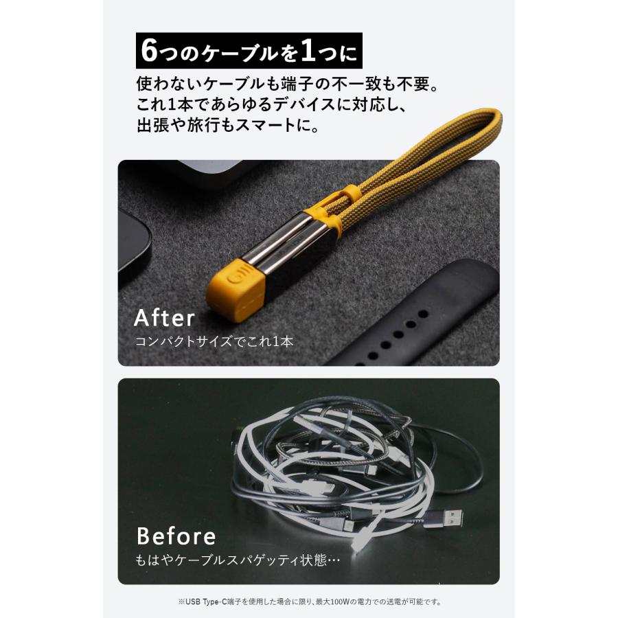 Rolling Square inCharge XL｜30cm 急速充電 【6in1】 5in1 4in1 3in1  マルチUSBケーブル 高速充電 データ転送 磁石式 ローリングスクエア レビュー 100日保証 |  | 07