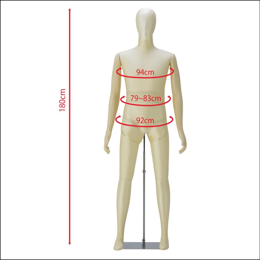 フレキシブル可動 Men'sマネキン・SD206タイプ（ウレタン製）｜mode-mannequin｜02