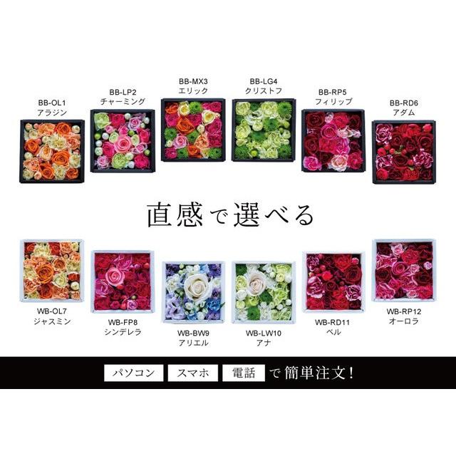 フラワーボックス ブラック 生花 フラワーギフト アレンジメント プレゼント お祝い 誕生日 記念日 敬老の日 ライム ピンク レッド オレンジ ホワイト グリーン |  | 05