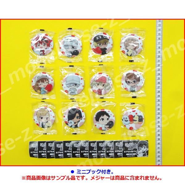はたらく細胞 カプセル缶バッジ 全12種 ブシロードクリエイティブ