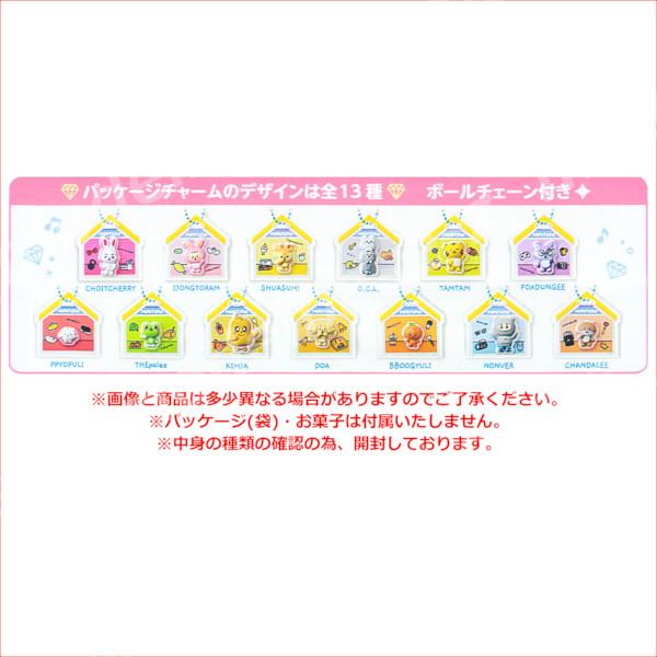 BANDAI（バンダイ） MINITEEN パッケージチャーム＆グミ 全13種