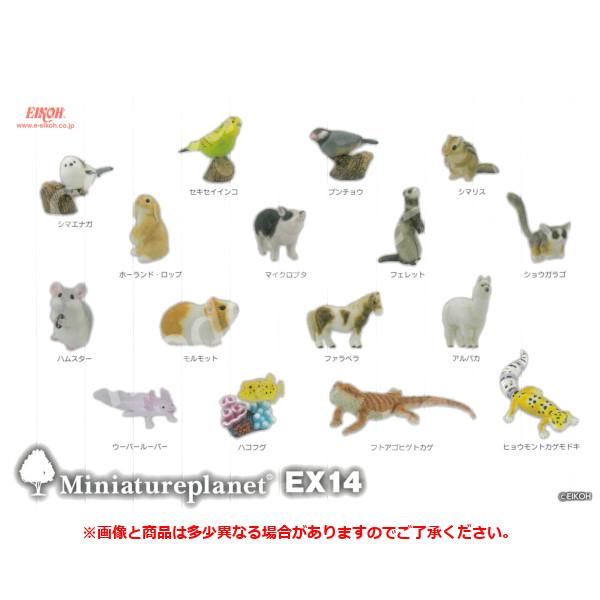 ミニチュアプラネット　鳥17点 ミニチュアプラネット 鳥17点 ミニチュアプラネット EX14 全16種