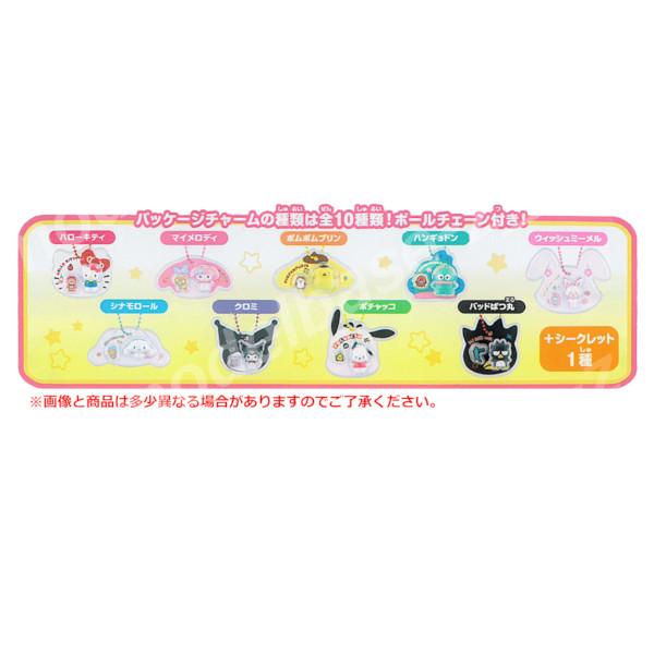 サンリオキャラクターズ　パッケージチャーム&チョコボーロ　10種コンプリート サンリオキャラクターズ パッケージチャーム＆チョコボーロ」 いよいよ