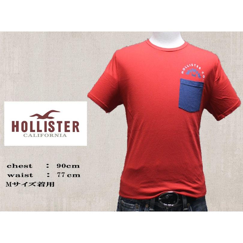 ホリスター HOLLISTER 【メンズ Men 