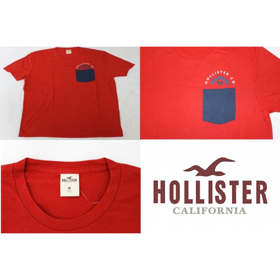 Hollister ホリスター HOLLISTER 【メンズ Men
