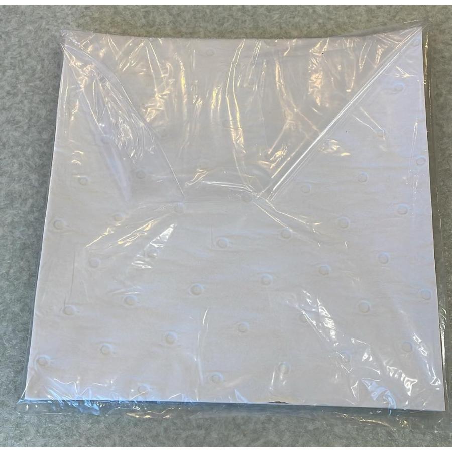 699U2　車両保存特殊紙 |  | 01