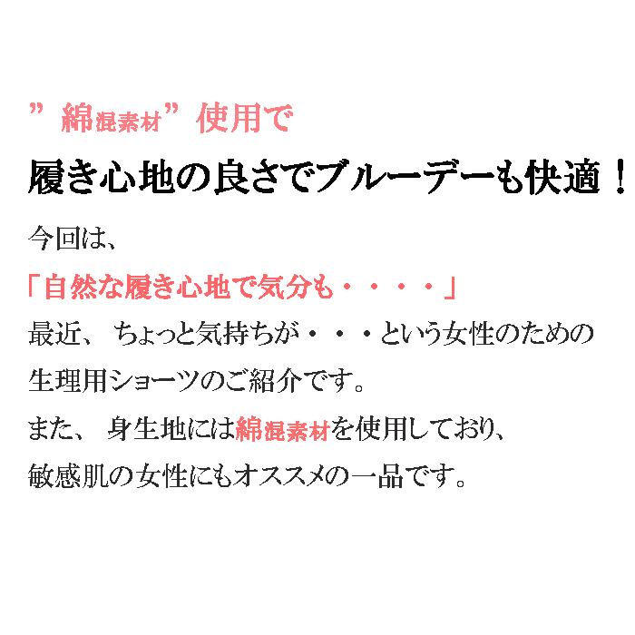 生理用　サニタリーショーツ |  | 01