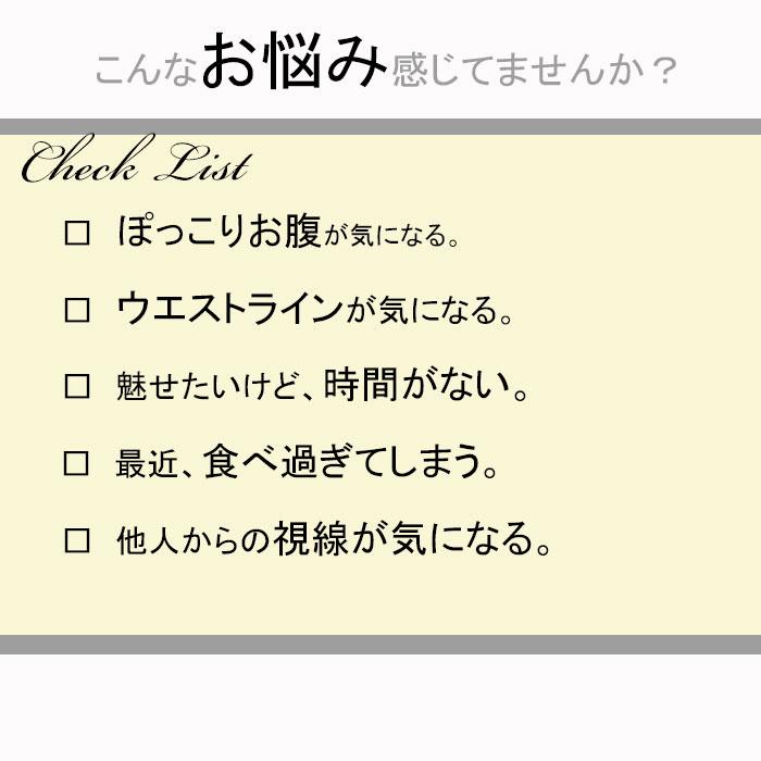 コルセット ダイエット ウエスト ニッパー くびれ 産後  シェイパー ボディ 補正下着 ぽっこりお腹 着圧 引き締め ウエスト 猫背 補正 姿勢補正 レディース | モデルルック | 01