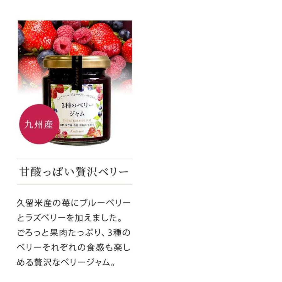 お歳暮 22 プレゼント ギフト3種のベリージャム ストロベリー ブルーベリー ラズベリー 砂糖不使用 野菜 フルーツのジャム 歯科衛生士 考案 J 0013berry Andante アンダンテ 通販 Yahoo ショッピング