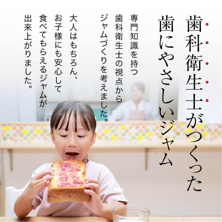 砂糖不使用 野菜×フルーツのジャム 歯科衛生士考案 ギフト  内祝い 誕生日祝い｜moderato-shop｜05