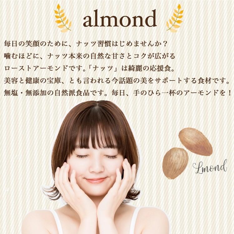 素焼き アーモンド 60g おつまみ ギフト｜moderato-shop｜03