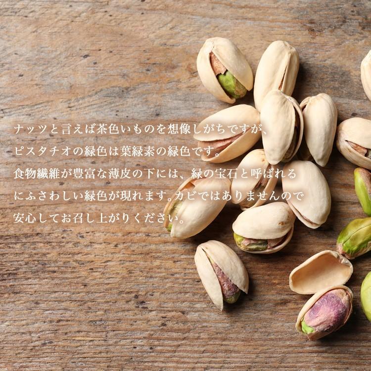 素焼き ピスタチオ 50g N 509 Andante アンダンテ 通販 Yahoo ショッピング