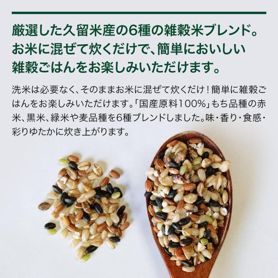 お米にひとさじ 久留米産 6種ブレンド 65g 雑穀米｜moderato-shop｜03