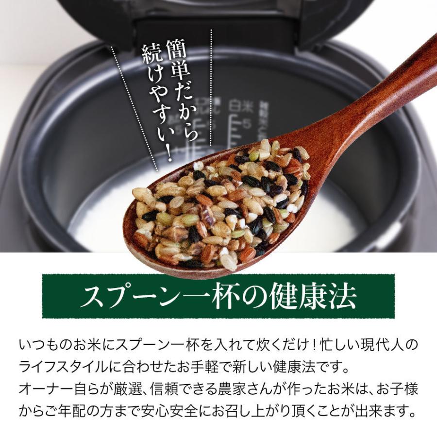 お米にひとさじ 久留米産 6種ブレンド 65g 雑穀米｜moderato-shop｜04