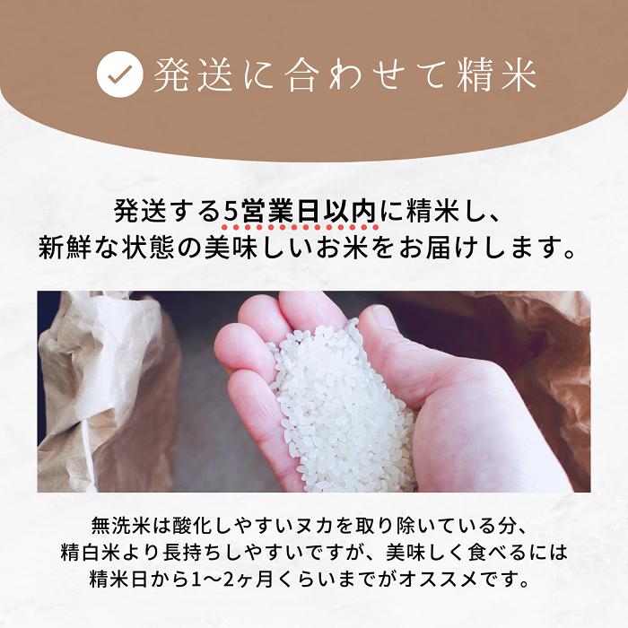 無洗米 福岡県産夢つくし 選べる3点セット(300g(2合)×3パック 無洗米 福岡県産夢つくし 選べる3点セット(300g(2合)×3パック