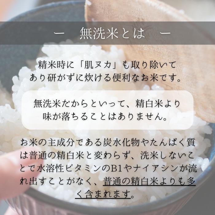 無洗米 福岡県産夢つくし 選べる3点セット(300g(2合)×3パック 無洗米 福岡県産夢つくし 選べる3点セット(300g(2合)×3パック
