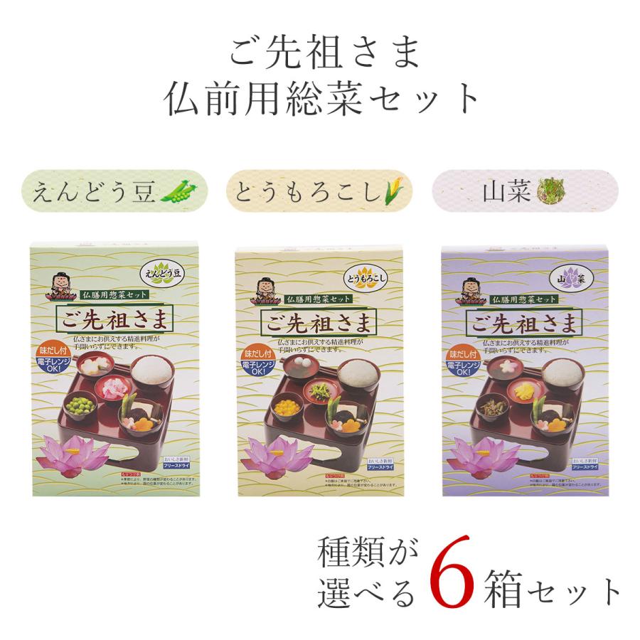 ご先祖さま 種類が選べる 6個セット 6箱 フリーズドライ 霊供膳 精進