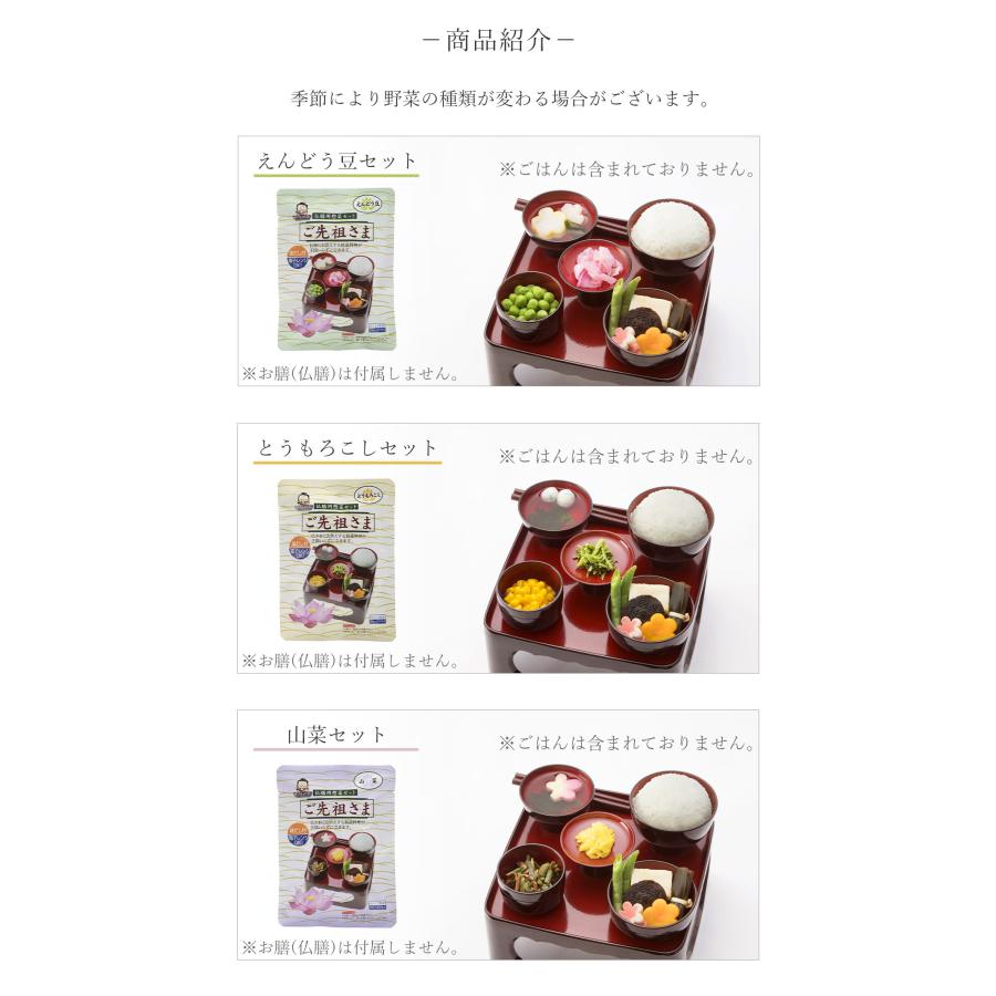 ご先祖さま エコパッケージ ご先祖様 フリーズドライ 霊供膳 精進料理