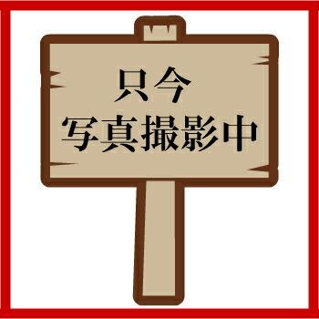 紙袋 カラ−クラフト Ｔ−６ 抹茶 100枚  ラッピングバッグ 手提袋 中身が見えにくい 業務用 ギフト
