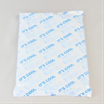 ｉｔ ｓ ｃｏｏｌ ｉー８００ ８００ｇ 保冷剤 アイスパック 氷 イッツクール 温度 業務用 モダン プロ 通販 Yahoo ショッピング