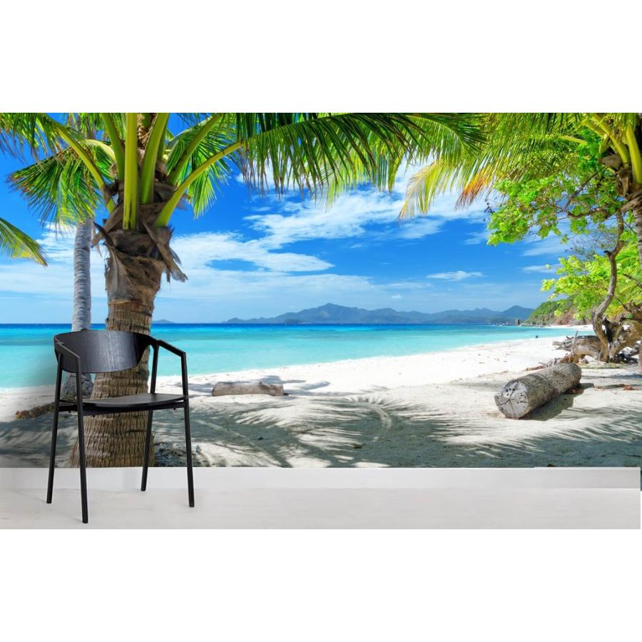 トロピカル ブルー ビーチ サイズ特大 壁紙 アート モダン 綺麗 おしゃれ インテリア 新品 Moderntrend Vestnik Rosnou Ru