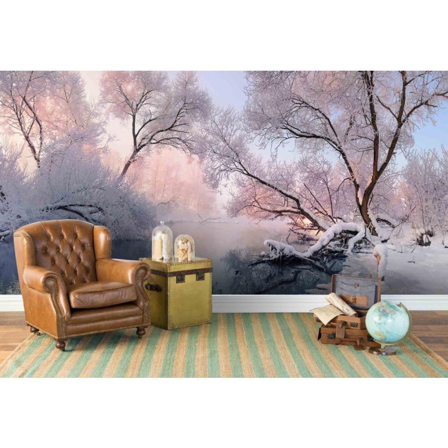 モダン 綺麗 壁紙 インテリア アート 新品 Moderntrend 内装 壁紙 サイズ大 綺麗 おしゃれ スノー レイク フォレスト