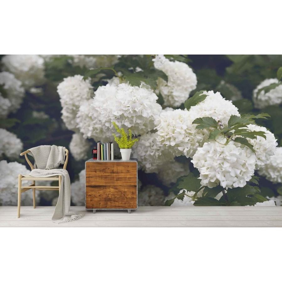 白あじさいの花 おしゃれ アート モダン アート Moderntrend 綺麗 Diy 工具 壁紙 インテリア モダン 新品 サイズ特大