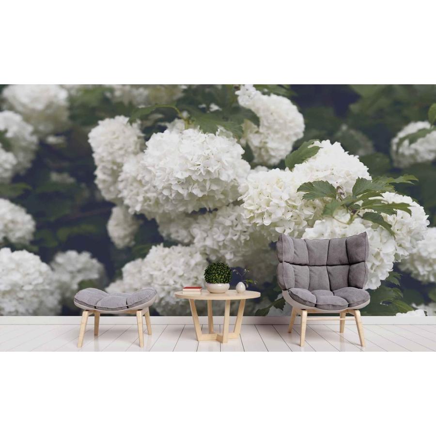 サイズ中 モダン おしゃれ アート インテリア 綺麗 住宅設備 Moderntrend 壁紙 新品 白あじさいの花 壁紙 モダン