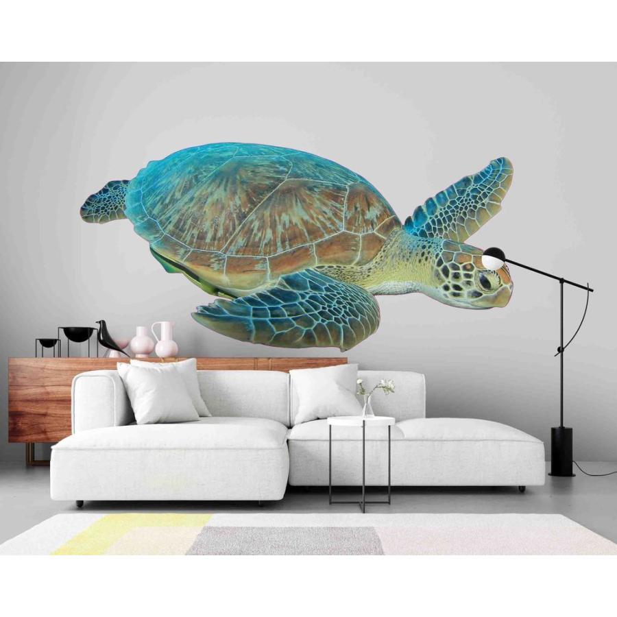 カメ サイズ中 壁紙 アート 壁紙 モダン サイズ中 綺麗 インテリア アート Moderntrend Au Jess 0m