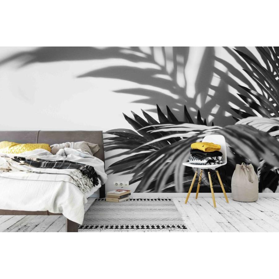 正規通販 ブラック ホワイト トロピカルプラントリーブス サイズ小 壁紙 アート モダン 綺麗 おしゃれ インテリア 新品 Moderntrend Au Jess 025s Moderntrend 通販 Yahoo ショッピング 限定sale Www Inotherweb It