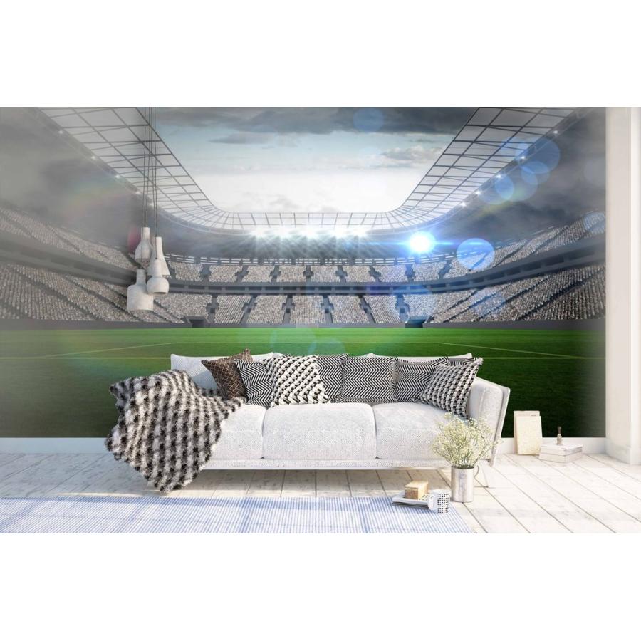 サッカー スタジアム Diy 工具 サイズ特大 壁紙 アート モダン 綺麗 おしゃれ 壁紙 新品 綺麗 Moderntrend Moderntrend