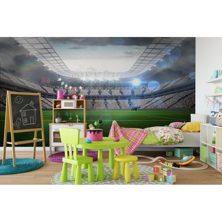 Seal限定商品 アート 壁紙 サイズ大 サッカー スタジアム Au Jess 027l モダン Moderntrend 新品 インテリア おしゃれ 綺麗 内装 Compustarcr Com