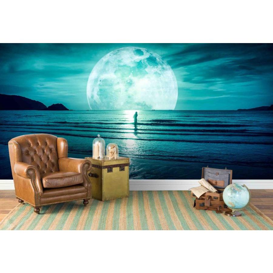 最大80 オフ アート 壁紙 サイズ中 シー ムーン Au Jess 034m モダン Moderntrend 新品 インテリア おしゃれ 綺麗 内装