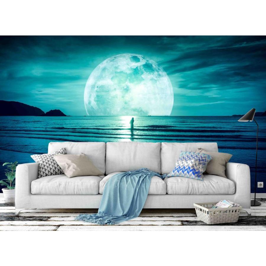 最大80 オフ アート 壁紙 サイズ中 シー ムーン Au Jess 034m モダン Moderntrend 新品 インテリア おしゃれ 綺麗 内装