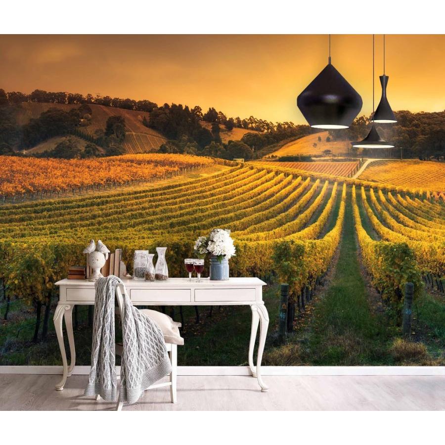 公式通販 サンセット ワインヤード サイズ小 壁紙 アート モダン 綺麗 おしゃれ インテリア 新品 Moderntrend 購入可能 Itsystemonline It