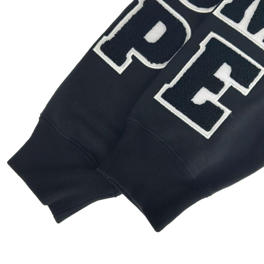 Supreme（シュプリーム） 22SS Team Chenille Hooded Sweatshirt 