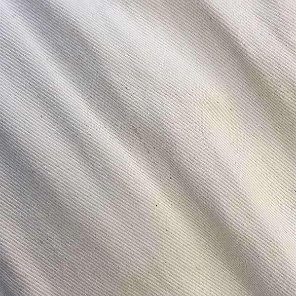 POSTELEGANT（ポステレガント） 21AW COTTON WOVEN RIB HIGHNECK TOP