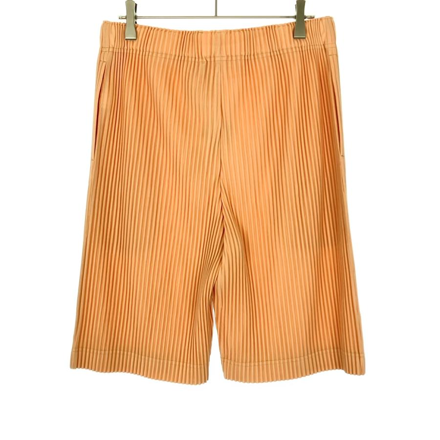 オムプリッセ メッシュパンツ オムプリッセイッセイミヤケプリーツメッシュパンツ