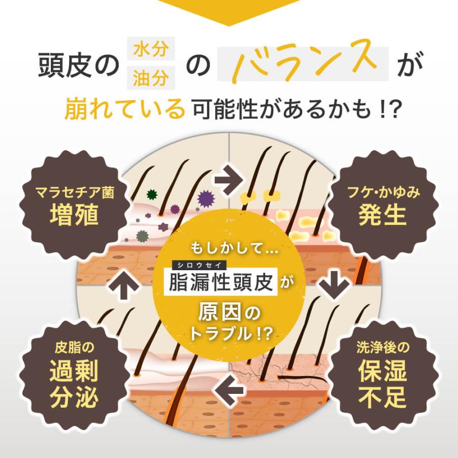 脂漏性 フケ かゆみ 頭皮湿疹の方に リバラン シャンプー 頭皮ケア マラセチア菌対策 皮膚炎 アミノ酸 男女兼用 べたつき 豊な泡立ち 医薬部外品 ReBALAN 194ml | modest | 09