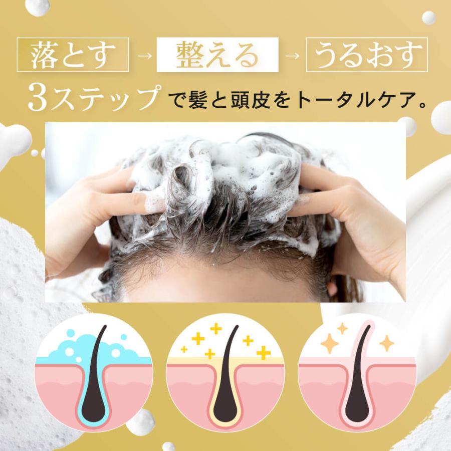 modest フケ かゆみ 脂漏性 ノンシリコン アミノ酸 リバラン スカルプ