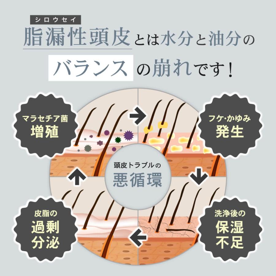 modest フケ かゆみ 脂漏性 ノンシリコン アミノ酸 リバラン スカルプ