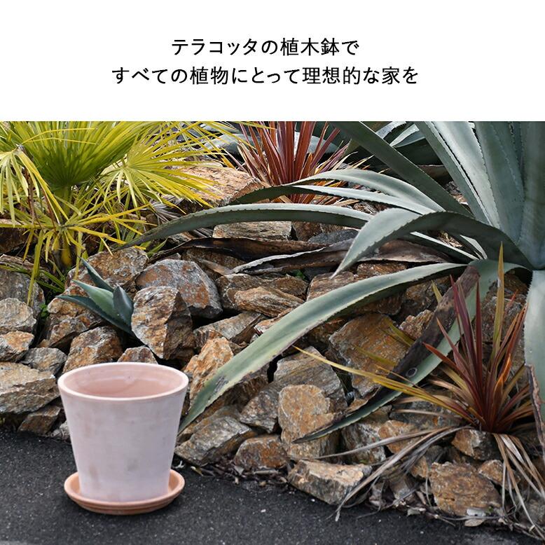 植木鉢 素焼き テラコッタ 7号鉢 陶器 プランター 浅鉢 イタリア