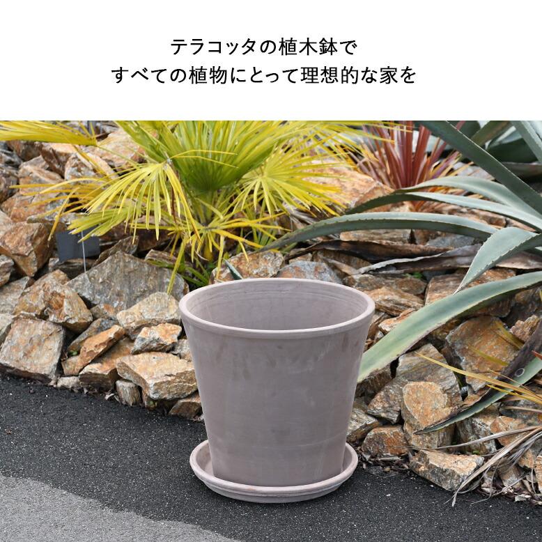植木鉢 素焼き テラコッタ 11号鉢 大型 大きい 陶器 プランター 浅鉢
