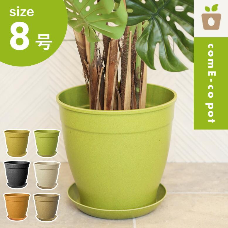 Progress Bowl Pot M  植木鉢　コーデックス Amazon.co.jp: BLACK PLASTIC POT【BOWL】ボウルタイプ 黒 プラ