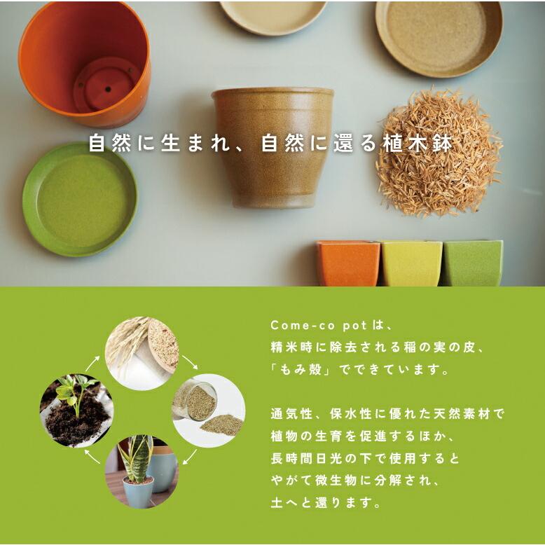 植木鉢4点セット 受け皿 トレー付き 軽量 受皿 鉢 3連 サボテン ミニ