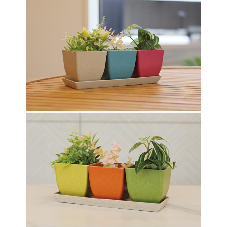 植木鉢4点セット 受け皿 トレー付き 軽量 受皿 鉢 3連 サボテン ミニ