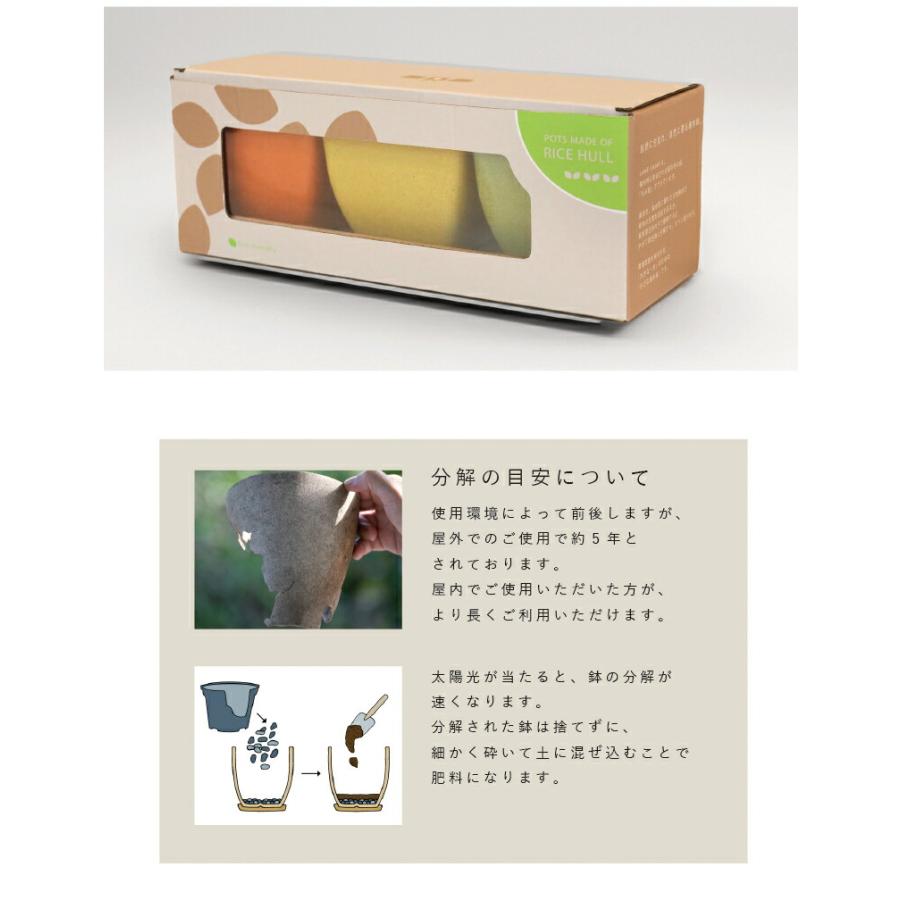 植木鉢4点セット 受け皿 トレー付き 軽量 受皿 鉢 3連 サボテン ミニ